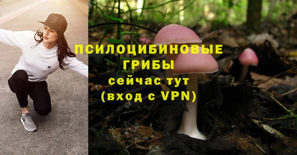 мет Мегион