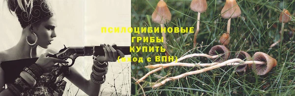 ГАЛЛЮЦИНОГЕННЫЕ ГРИБЫ Медвежьегорск