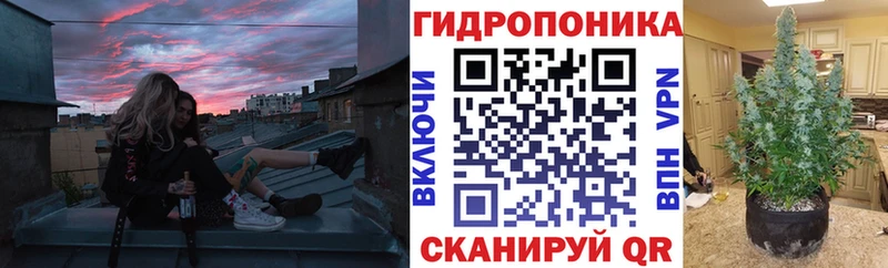 Бошки марихуана ГИДРОПОН Нерчинск